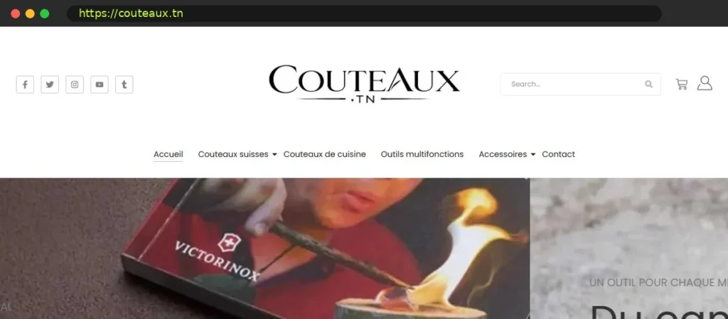 Capture du site couteaux.tn