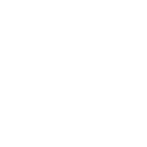 Logo Orange