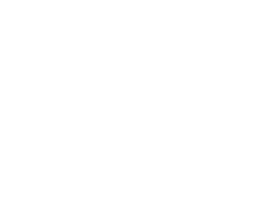 Logo Tunisie Telecom