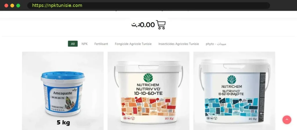 Capture du site npktunisie.com